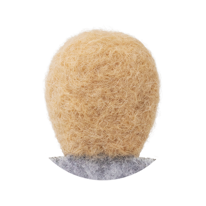 アプリコットの参考画像