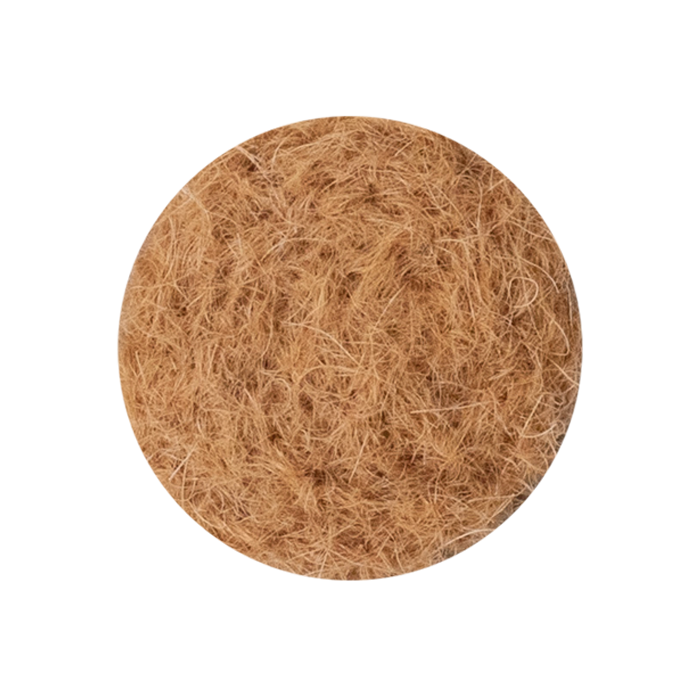 レッドの参考画像