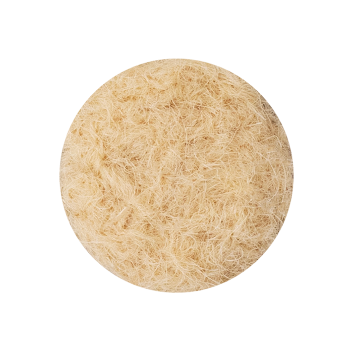 アプリコットの参考画像