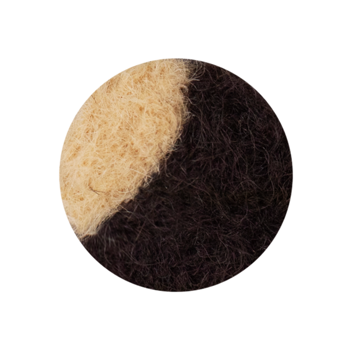 ブラック&アプリコットの参考画像