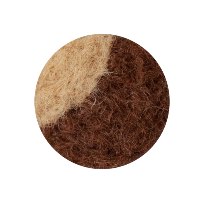 ブラウン&アプリコットの参考画像